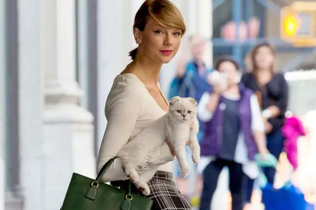 Swift with her cat Olivia Benson
